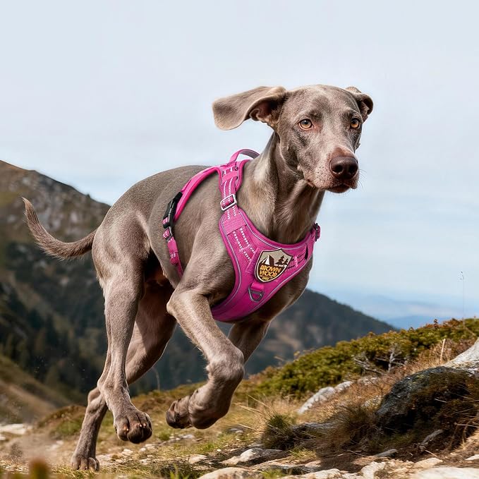 rabbitgoo Tactical Dog Harness for Large Dogs, No Pull Service Pet Vest | Military Molle System & Easy Control Handle, Adjustable and Reflective for Walking and Training, Rose Red, Large