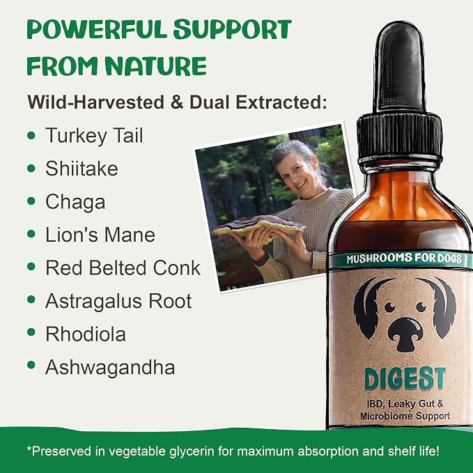 MycoDog Digest, Digestive Mushroom Supplement for Dogs for Healthy Poop