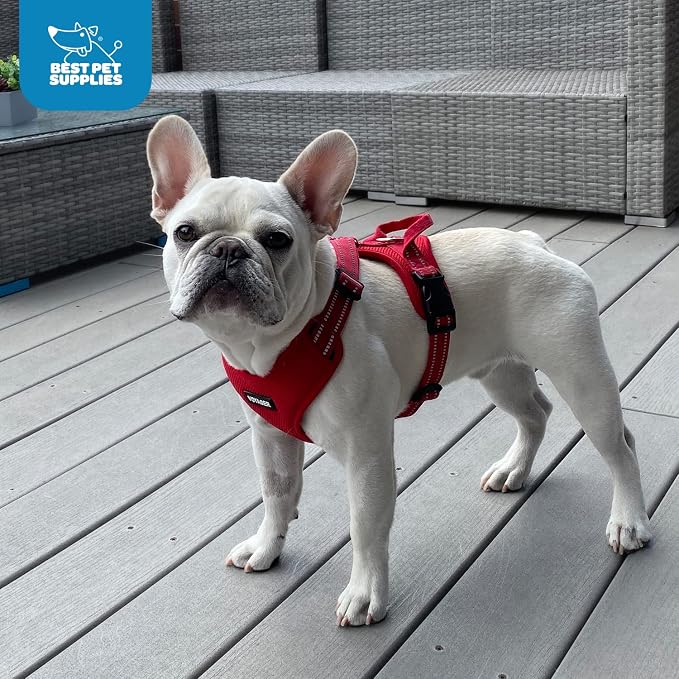 Air Frontier Mesh Dog Harness with Steel Leash D-Ring, Reflective Stitching, and Lightweight Breathable No-Pull Design, Adjustable Neck and Chest Straps for Small to Large Breeds - RDW, XS
