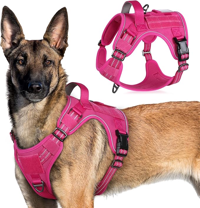 rabbitgoo Tactical Dog Harness for X-Large, No Pull Military Service Vest | Molle & Handle, Heavy Duty, Adjustable, Reflective Straps, Easy Control for Training Walking, Rose Red, X-Large