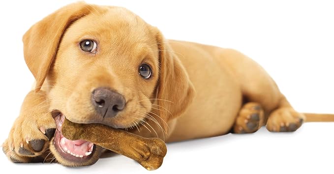 Nylabone Healthy Edibles Natural Puppy Chews Long Lasting Treats for Puppies, Lamb & Apple Flavor, Small/Regular (3 Count)