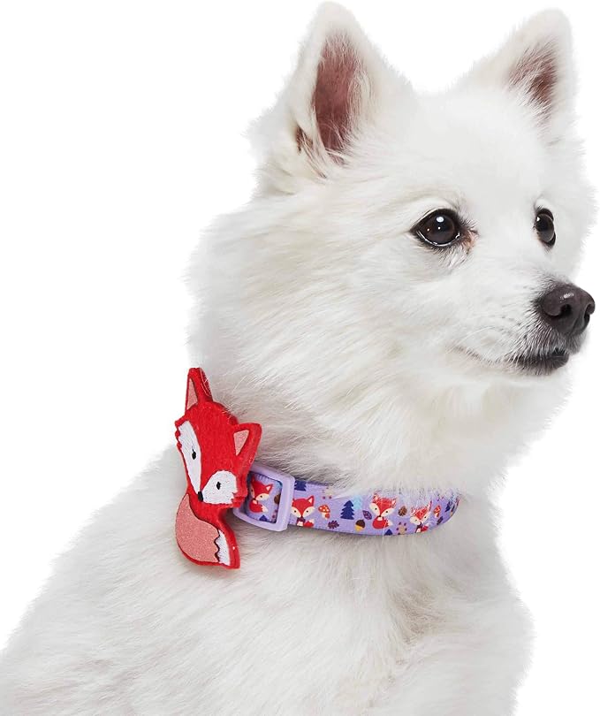 Blueberry Pet Red Fox Adjustable Dog Collar with Detachable Décor, Small, Neck 12"-16"