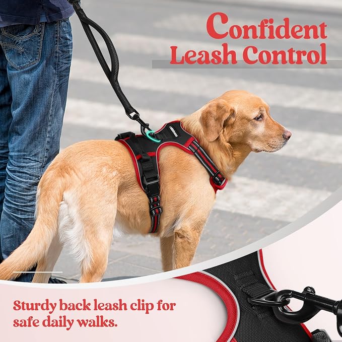 rabbitgoo Dog Harness, No Pull for Large Dogs with 2 Leash Clips, Pet Vest | No Choke with Handle, Adjustable Soft Padded, Reflective, Easy Control for Walking, Black & Red, X-Large