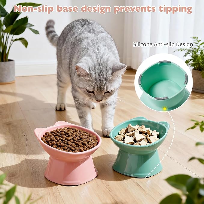 KSIA Klear Elevated Cat Bowls 2 Pack, Tilted Raised Cat Bowls for Indoor Cats, for Food and Water, 4.72" Wide, Whisker Friendly Anti Vomit for Indoor Cats, Microwave and Dishwasher Safe, Pink&Green