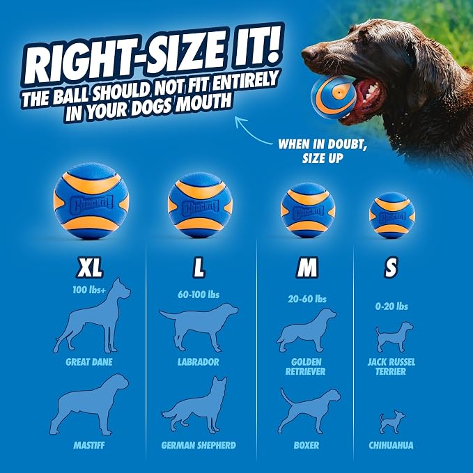 Chuckit! Ultra Squeaker Dog Ball - Extra Large Bouncy and Squeaky Pet Toy for Dogs 100+ lbs - Floats on Water - Durable Rubber - 3.5" Diameter - Size XL (Pack of 12)