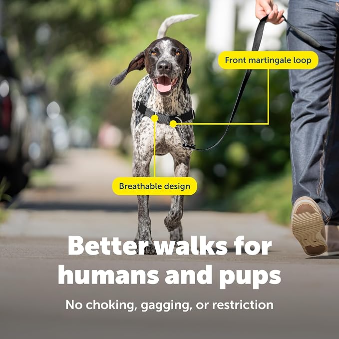 PetSafe Easy Walk No-Pull Dog Harness - Ultimate Harness to Help Stop Pulling - Pull-Free Walks - Take Control & Teach Better Leash Manners - Patented Martingale Loop Design - Apple Green,Medium/Large