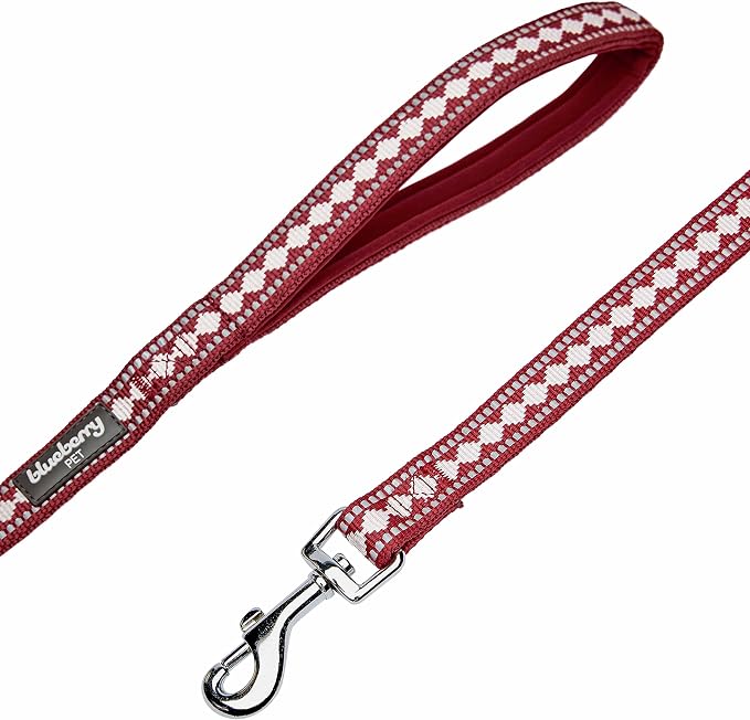 Blueberry Pet 3M Reflective Jacquard Dog Leash with Soft & Comfortable Handle, 5 ft x 5/8", Marsala Red, Small, Leashes for Dogs