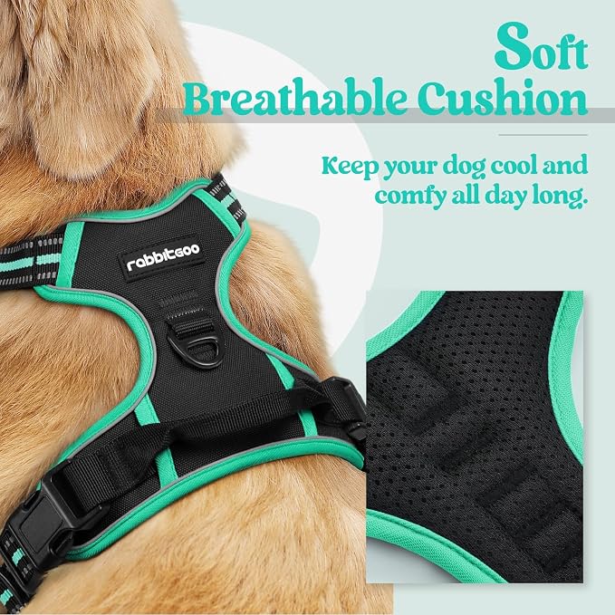rabbitgoo Dog Harness, No Pull for Small Dogs with 2 Leash Clips, Pet Vest | No Choke with Handle, Adjustable Soft Padded, Reflective, Easy Control for Walking, Black & Turquoise, Small