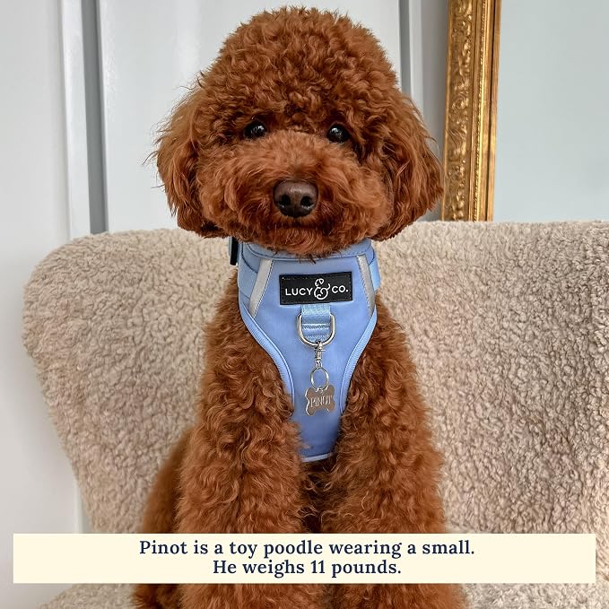 Lucy & Co. The Denim No-Pull Dog Harness - Size X-Small - Vest to Stop Pulling & Walk Easy - Comfortable Leash Training Product w/Adjustable Chest & Neck Straps