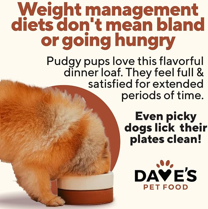 Dave's Pet Food Weight Management Dog Food, Turkey & Vegetables, 13.2 oz