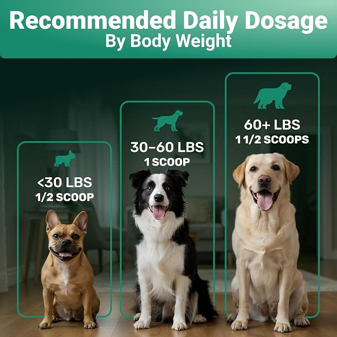 WuffWell Joint Supplement for Dogs with Collagen & Glucosamine - USA Made