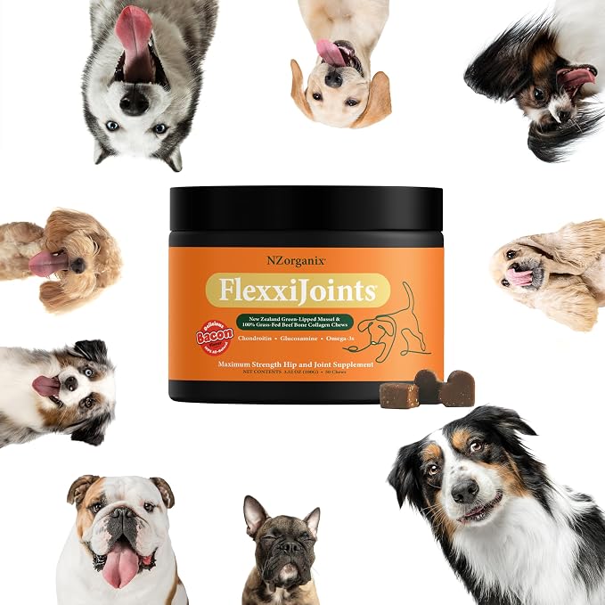 NZorganix FlexxiJoints Hip and Joint Supplement Chews for Dogs, Cats • 100% Grass-Fed Beef Bone Collagen New Zealand Green-Lipped Mussels • 200 Chews 2-Pack