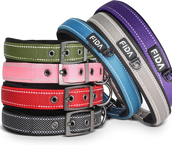 Fida Padded Dog Collar for Small Dogs with Metal Belt Buckle, Purple | Soft Neoprene Padded for Extra Comfort, Durable Nylon Webbing, Adjustable Fit, Reflective Stitching for Night Safety