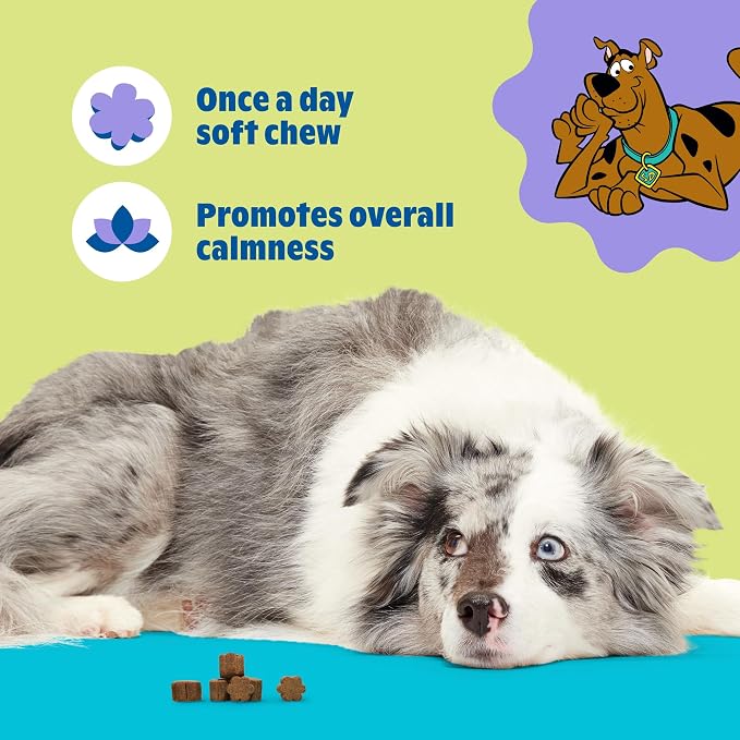 BARK x Scooby Calming Aid Health Supplement for Medium Breed Dogs, Medium