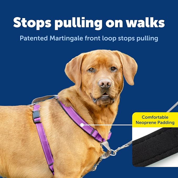 PetSafe 3 in 1 Harness - Fully Adjustable No-Pull Dog Harness - From the Makers of the Easy Walk Harness - Large, Plum | Rests on Chest Not Throat to Reduce Pulling, 5 Adjustment Points, Car Restraint Seatbelt Loop, Reflective Nylon for Low Light