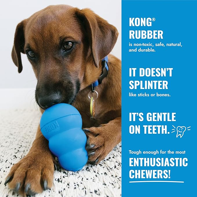 KONG Puppy Ball with Hole, Teething Toy, Medium/Large Puppies, Random Color | Soft & Durable Activity Ball That Supports Healthy Exercise, Interactive Play & Natural Teething for Puppies