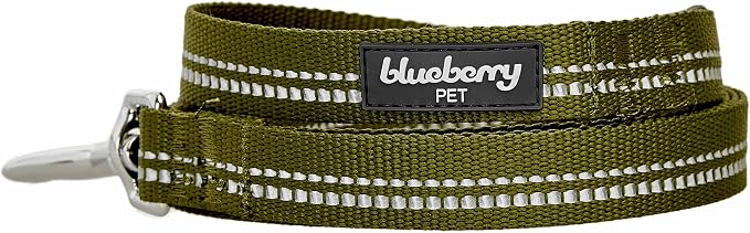 Blueberry Pet 3M Reflective Pastel Color Dog Leash with Soft & Comfortable Handle, 4 ft x 1", Olive Green, Large, Leashes for Dogs