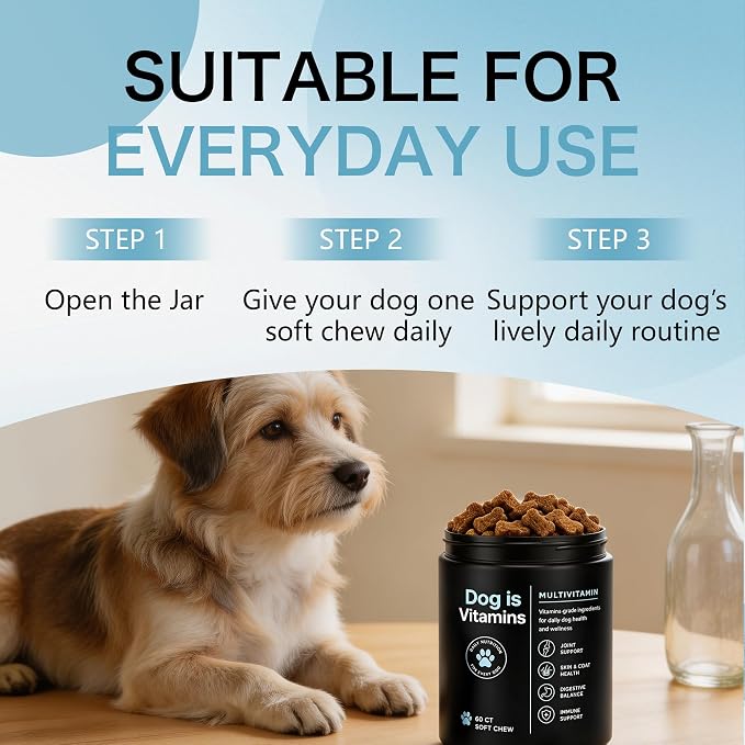 Dog is Multivitamin Chews with Salmon Oil & Chondroitin, 60 Chews (1pc)