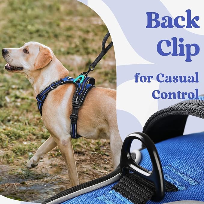 rabbitgoo Dog Harness Medium Sized, Updated Easy On & Off with 3 Buckles | No Pull No Choke, Walking with 2 Clips and Handle, Adjustable Soft Reflective, Blue, Medium