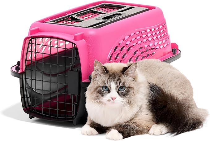 Petmate Two Door Plastic Pet Kennel, XS 19in, Pink, up to 10lbs | Top and Front Loading Dog Crate and Cat Carrier for Small Dogs, Doubles as Travel Kennel