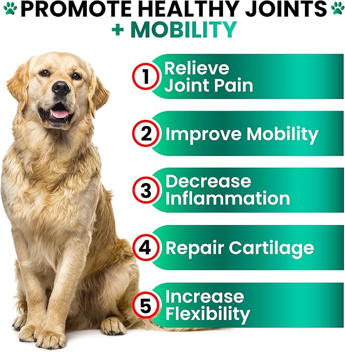 Hemp Hip and Joint Supplement for Dogs - Glucosamine for Dogs - 170 Count