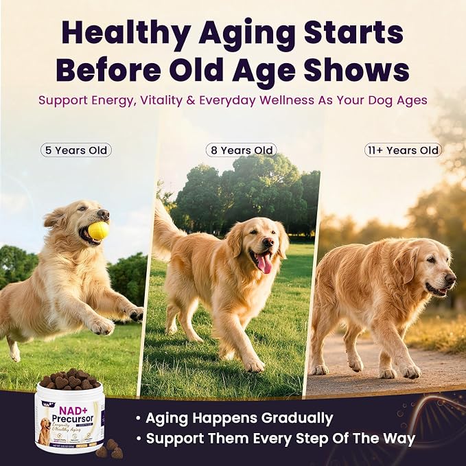 VUN Senior Dog NAD+ Longevity Supplement,NMN Healthy Aging Chews for Dogs