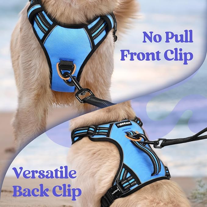 rabbitgoo Large Dog Harness, Easy Wear with 3 Buckles and Lift Handle | No Pull with Front Clip for Walking, Adjustable Soft Padded, Reflective, Easy Control, Light Blue, Small