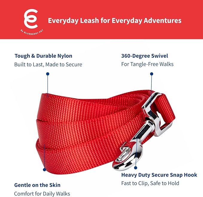 Blueberry Pet Essentials Rouge Red Dog Leash for Small -5' * 5/8" Dogs | Heavy Duty Nylon Lead | Lightweight Puppy & Cat Leash for Walking & Training