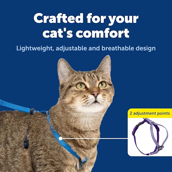 PetSafe Come With Me Kitty Harness and Bungee Leash, Harness for Cats, Large, Royal Blue/Navy, CWMK-L-RYL | Adjustable 2-Point Fit Applies Gentle Pressure to Shoulders, Not Neck, for Average and Large Cats with 13 in - 18 in Girth