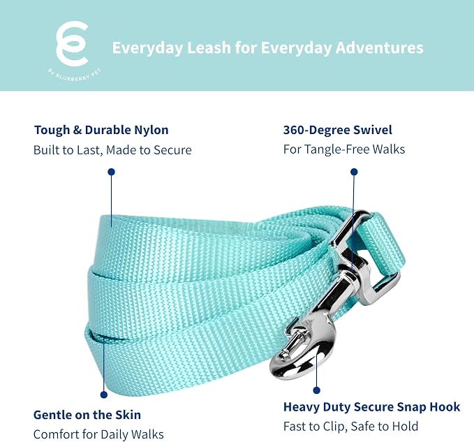 Blueberry Pet Essentials Mint Blue Dog Leash for Medium - 5' * 3/4" Dogs | Heavy Duty Nylon Lead | Lightweight Puppy & Cat Leash for Walking & Training