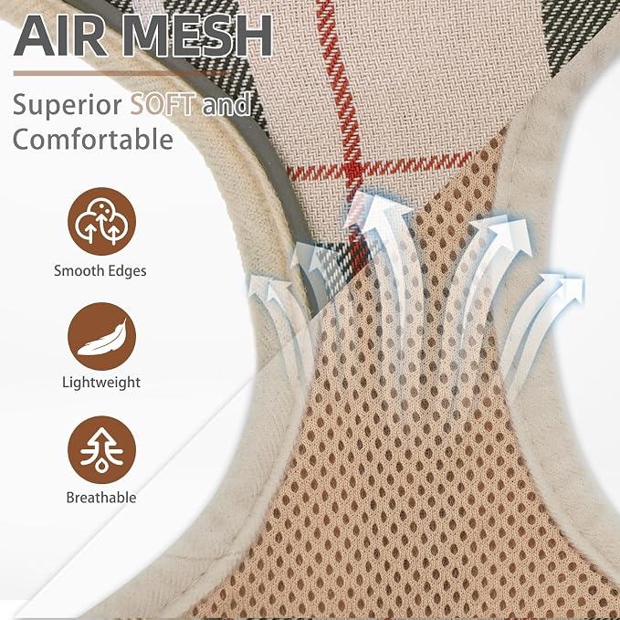 PUPTECK Dog Harness and Leash Set, No Pull Adjustable Pet Small Dog Harness, Reflective Soft Mesh Pet Vest, for Small Medium Dogs Walking, Beige, M