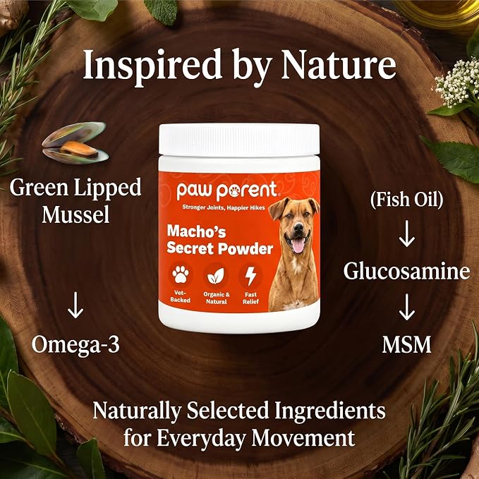 Paw Parent Macho's Secret Powder, Green Lipped Mussel Hip & Joint Powder for Dogs, Spine and Disc Powders, Cardiac Shield Formula with Glucosamine, Msm & Omega-3 for Mobility Support，3Pc