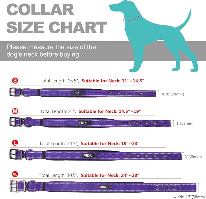 Fida Padded Dog Collar for Small Dogs with Metal Belt Buckle, Purple | Soft Neoprene Padded for Extra Comfort, Durable Nylon Webbing, Adjustable Fit, Reflective Stitching for Night Safety