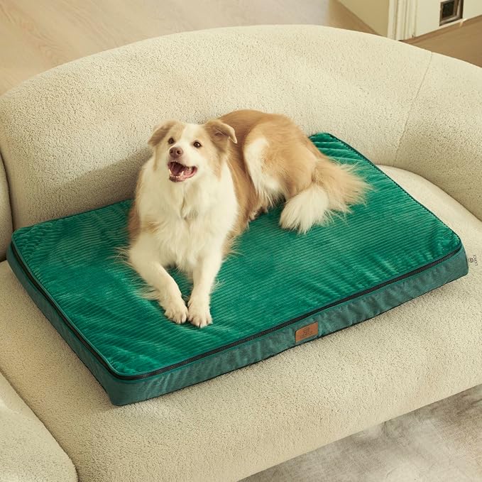 LIORCE Orthopedic Memory Foam XL Dog Bed - 4in Thick, Green