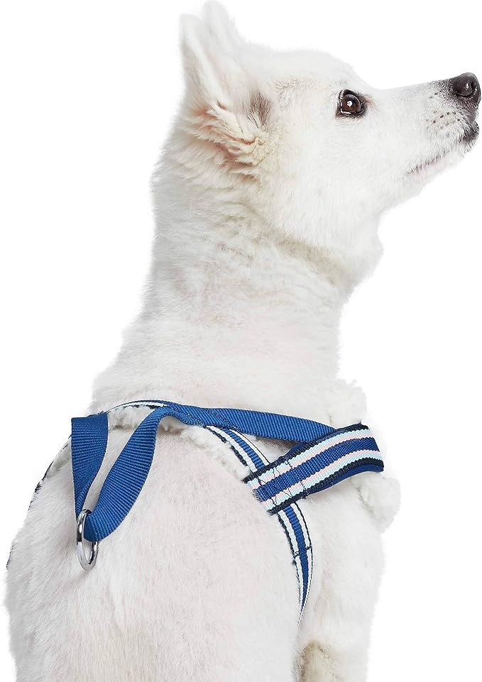 Blueberry Pet Soft & Comfy Multi-Colored Stripe Fleece Padded Chest Dog Harness, Chest Girth 20.5" - 26", Blue, Medium, Adjustable No Pull Training Harness for Dogs