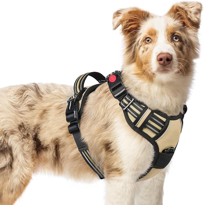 rabbitgoo Dog Harness Medium Sized, Updated Easy On & Off with 3 Buckles | No Pull No Choke, Walking with 2 Clips and Handle, Adjustable Soft Reflective, Beige, Medium