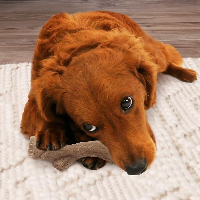 Nylabone Strong Chew Gourmet Style Stick Dog Chew Toy, Peanut Butter Flavor | Medium breeds, durable chew toys, long lasting, encourages healthy chewing, helps clean teeth, for dogs up to 35 lbs