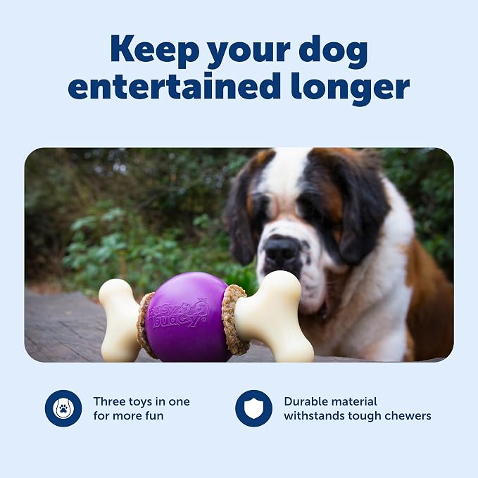 PetSafe Busy Buddy Bouncy Bone Treat Holding Dog Chew Toy, Small | Relieves Boredom and Anxiety, 6 Rawhide Treat Rings Included, Top-Rack Dishwasher Safe, Best for Dogs up to 10 Lb