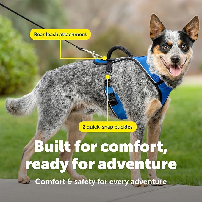 PetSafe EasySport Dog Harness, Blue, Medium | Padded, Elastic Neckline Harness for Active Dogs, Reflective Piping for Visibility, Top Control Handle, Rear Leash Clip
