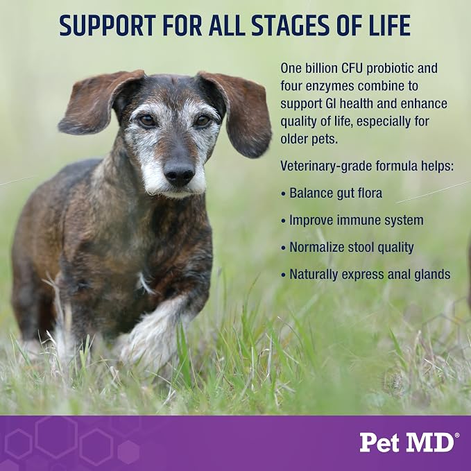 Pet MD Probiotics & Enzymes for Dogs - Gut Health Chews w/Prebiotic - 60ct