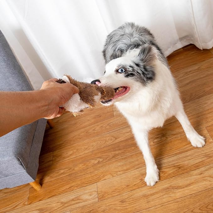 Hollypet Squeaky Hide and Seek Dog Toys for Small and Medium, Pine Cone | Interactive Plush Stuffed Dog Squeak Toys for Small Medium Sized Dogs and Non-Aggressive Chewers, Puppy Teeth Clean Chew Toys