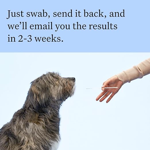 Wisdom Panel Breed Discovery DNA Test Kit
