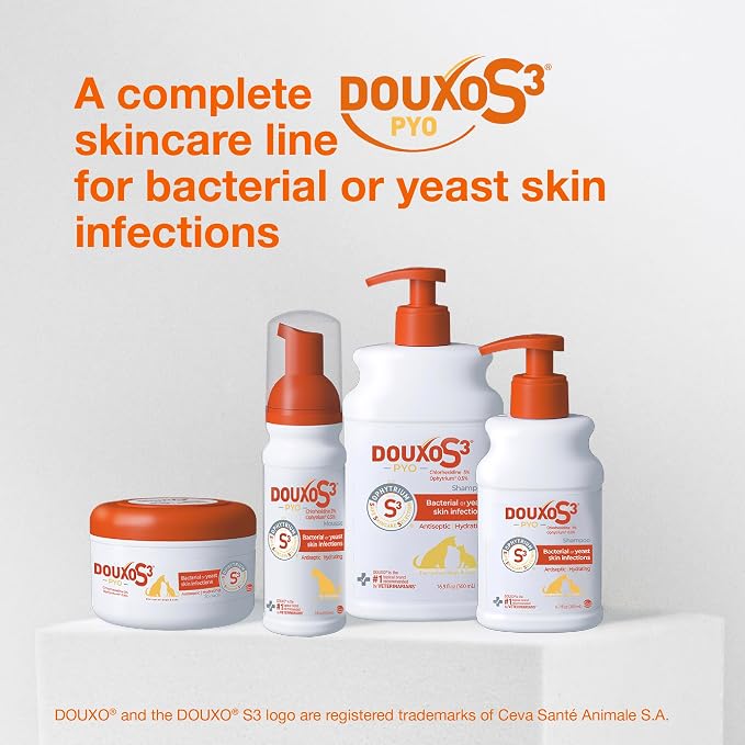Douxo S3 PYO Medicated Dog Shampoo with 3% Chlorhexidine for Dogs – Antibacterial & Antiseptic Yeast Infection Treatment For Dogs & Cats, Clinically Proven, 6.7 fl oz | Antibacterial & Antiseptic Yeast Infection Treatment For Dogs & Cats, Clinically Pr...