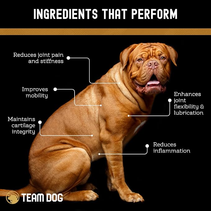 TEAM DOG Hip and Joint Chews for Dogs | Arthritis & Joint Support Supplements for Dogs | MSM, Chondroitin & Glucosamine | Small, Medium & Large Breed | Chicken, Duck & Pea Flavor | 120 Count