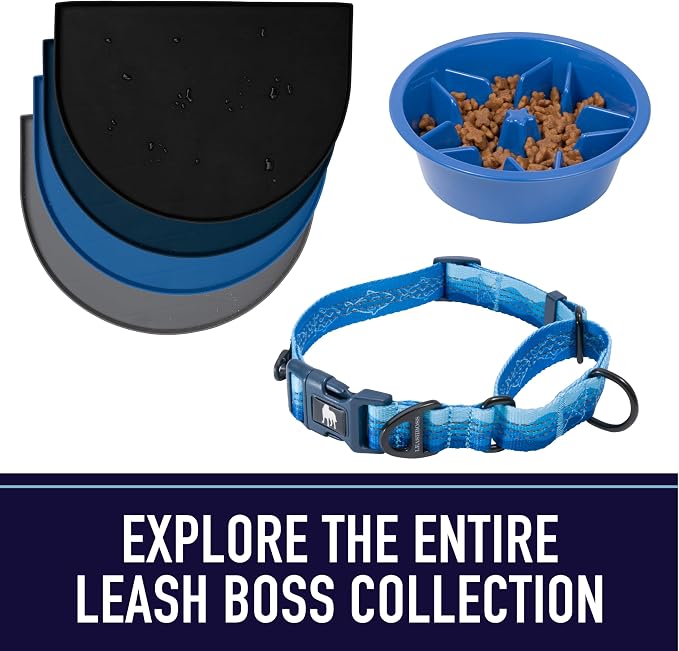 Leash Boss 10 Foot Dog Leash with Padded Handle - Long Leash for Hiking, Camping, Exploring, or Walking (10 Feet, Black/Red/Grey)