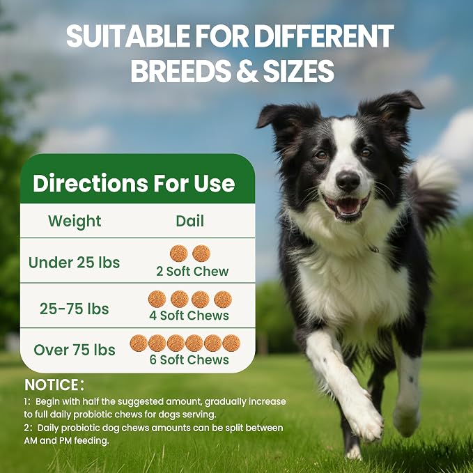 Probiotics for Dogs, Dog Probiotics Chews for Digestive Health &Gut Health