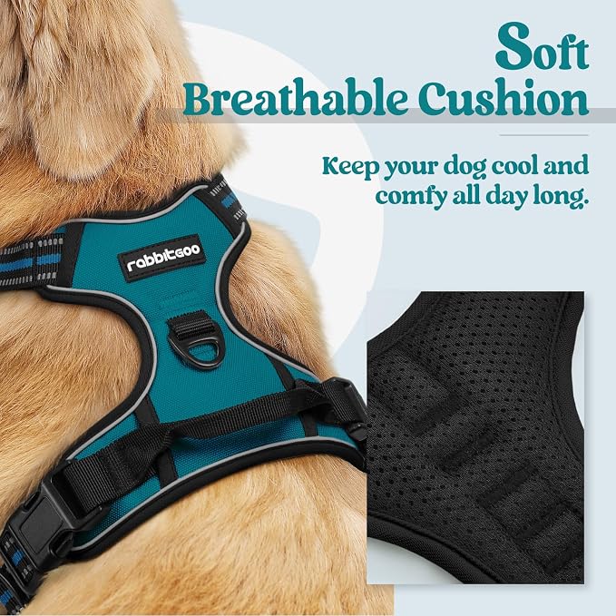 rabbitgoo Dog Harness, No Pull Medium Sized with 2 Leash Clips, Pet Vest | No Choke with Handle, Adjustable Soft Padded, Reflective, Easy Control for Walking, Blue Coral, Medium