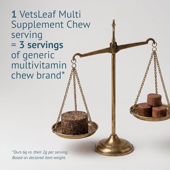 Dog Multivitamin Chews - Glucosamine, Probiotics, Salmon Oil, Mushroom Blend & Ashwagandha - Daily Dog Vitamins for Immune, Joint, Skin, Gut and Energy Support - Made in USA - 60 Count