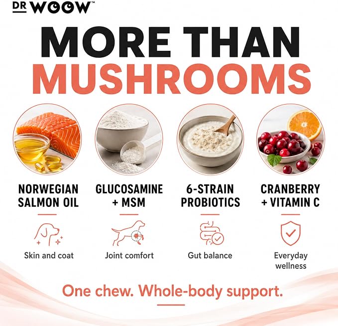 Turkey Tail Mushroom Chews for Dogs (120 Soft Chews) – Immune Support & Gut Health – 7 Mushroom Blend, Salmon Oil & Probiotics – Daily Wellness Supplement – Made in USA – Dr. Woow
