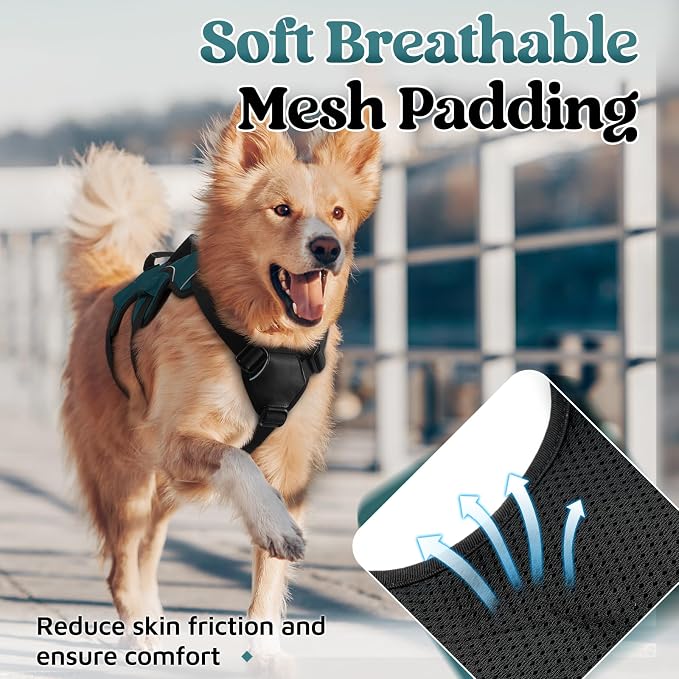 rabbitgoo Escape Proof Dog Harness for Medium, No Pull with Lift Handle | No Escape, Full Soft Padded, Reflective Adjustable Vest, Leash Clip for Walking Hiking Training, Dark Green, Medium